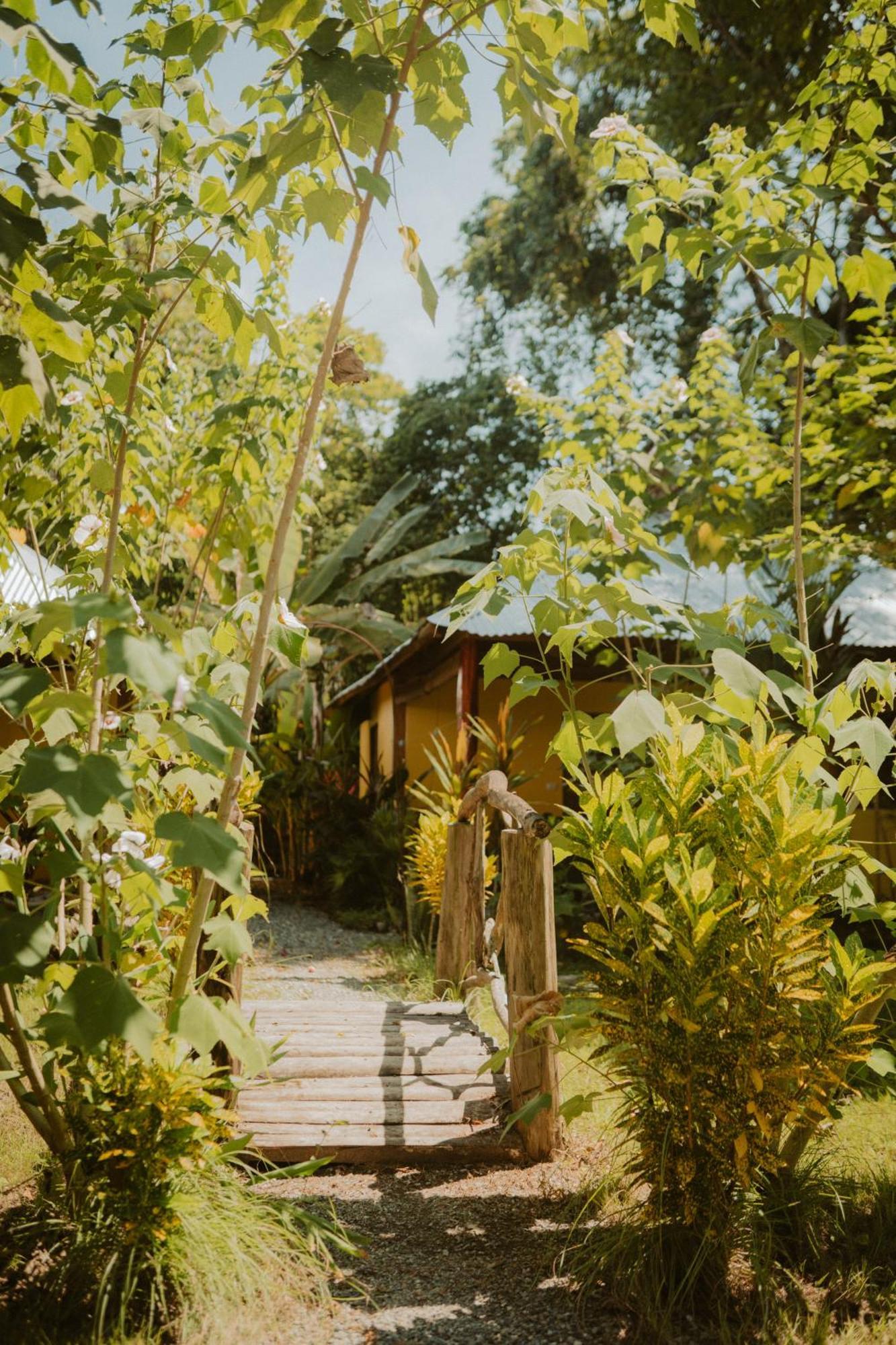Casa De Los Amigos Caribena Cahuita Extérieur photo